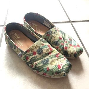 🌵Cactus Toms🌵